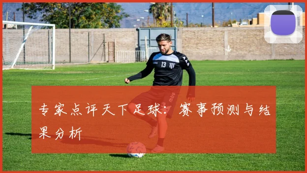专家点评天下足球：赛事预测与结果分析