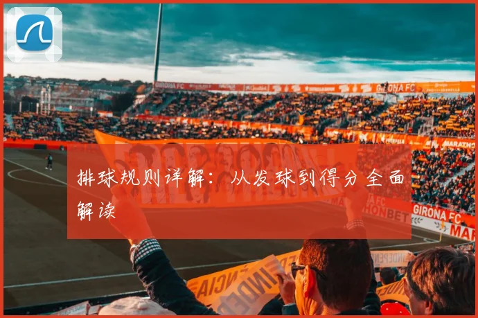 排球规则详解：从发球到得分全面解读