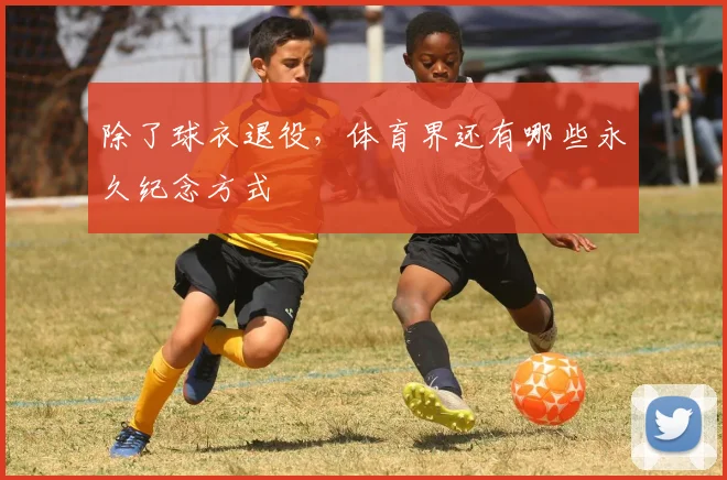 除了球衣退役，体育界还有哪些永久纪念方式