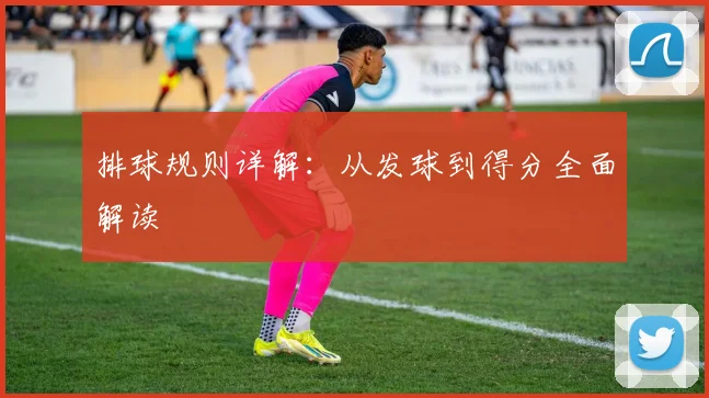 排球规则详解：从发球到得分全面解读