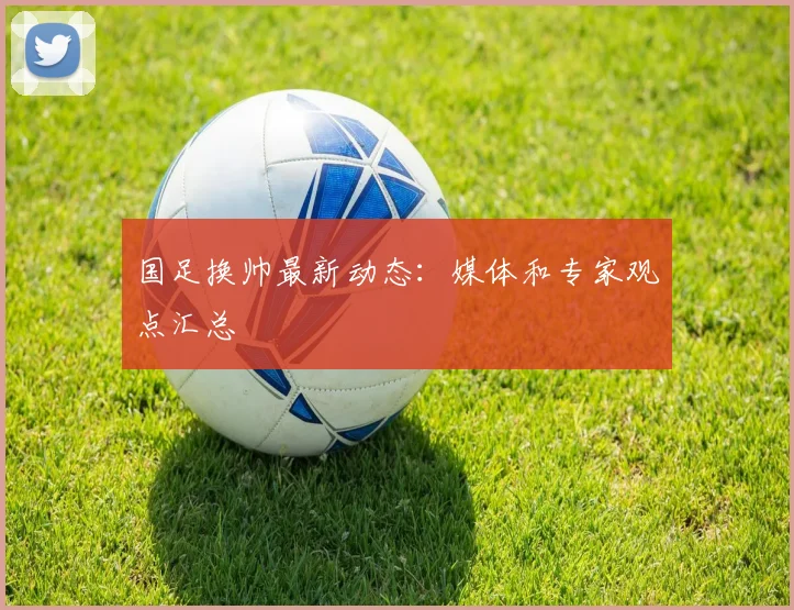 国足换帅最新动态：媒体和专家观点汇总