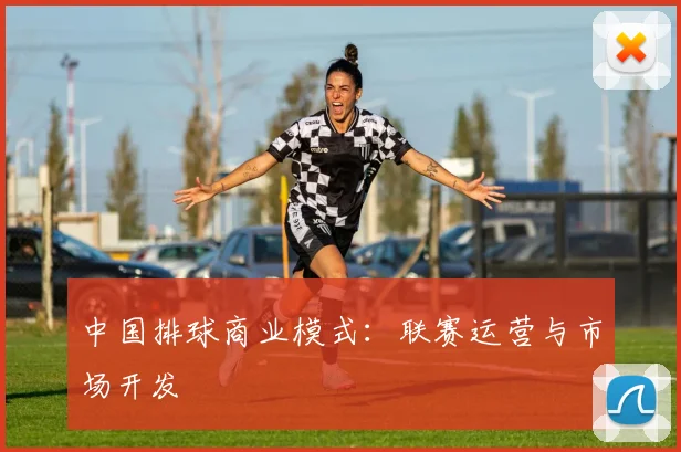 中国排球商业模式:联赛运营与市场开发